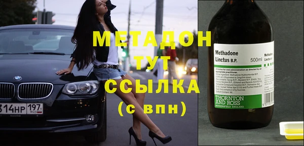прущие грибы Рославль