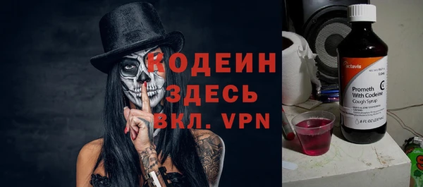 прущие грибы Рославль