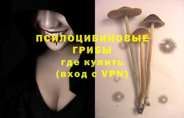 прущие грибы Рославль