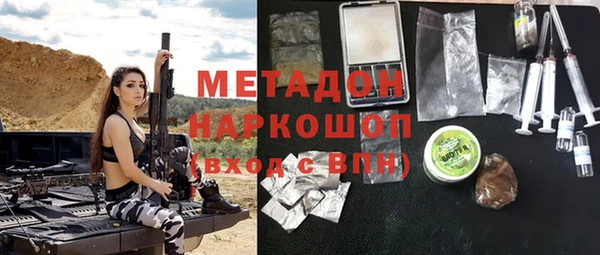прущие грибы Рославль