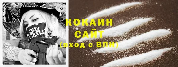 прущие грибы Рославль