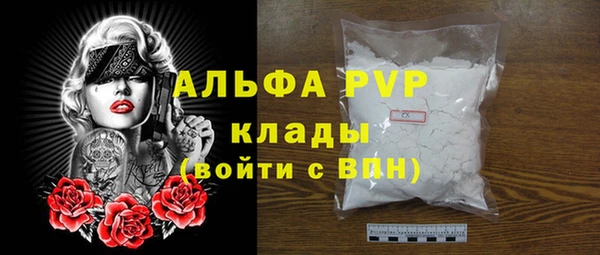 прущие грибы Рославль