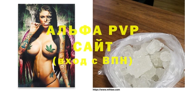индика Приозерск