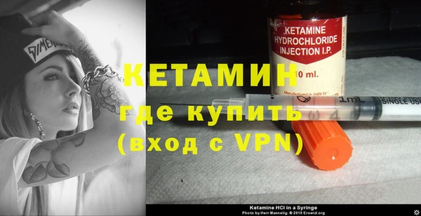 прущие грибы Рославль