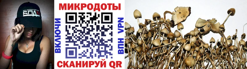 Псилоцибиновые грибы GOLDEN TEACHER  Шахунья 
